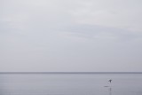 ba 01 | 2011 o.T.